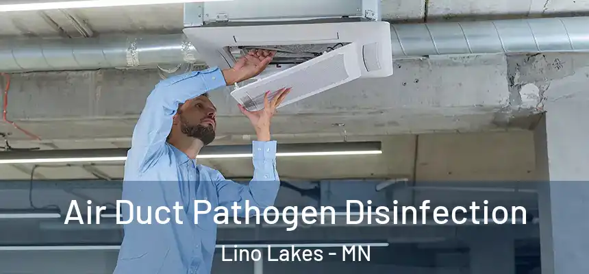  Air Duct Pathogen Disinfection Lino Lakes - MN