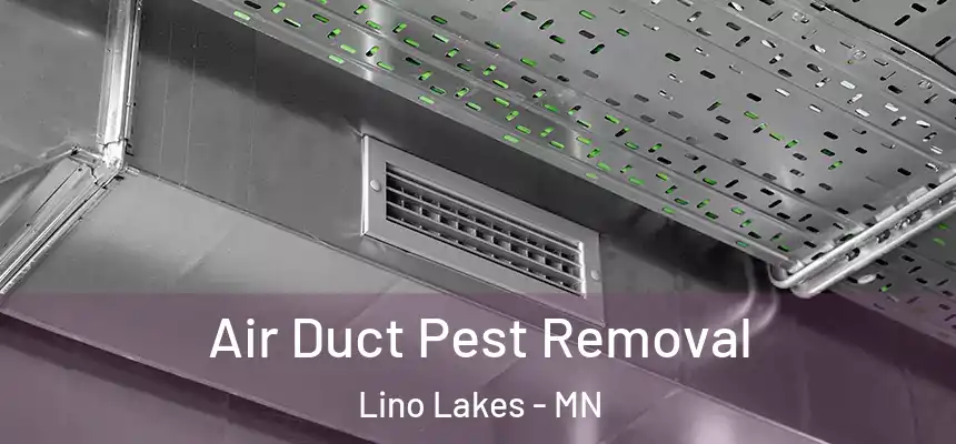  Air Duct Pest Removal Lino Lakes - MN