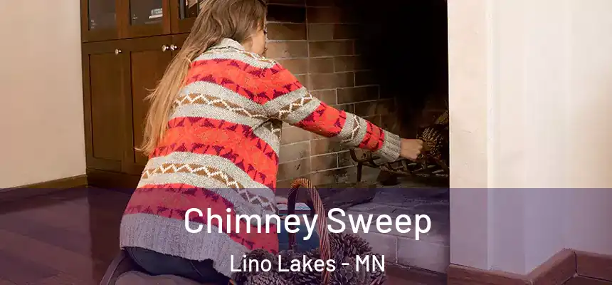  Chimney Sweep Lino Lakes - MN