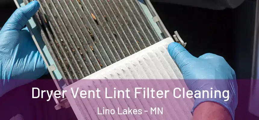 Dryer Vent Lint Filter Cleaning Lino Lakes - MN