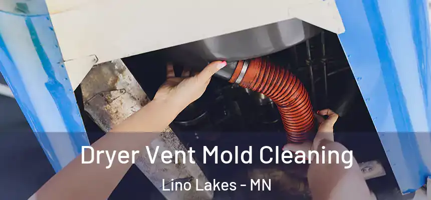 Dryer Vent Mold Cleaning Lino Lakes - MN