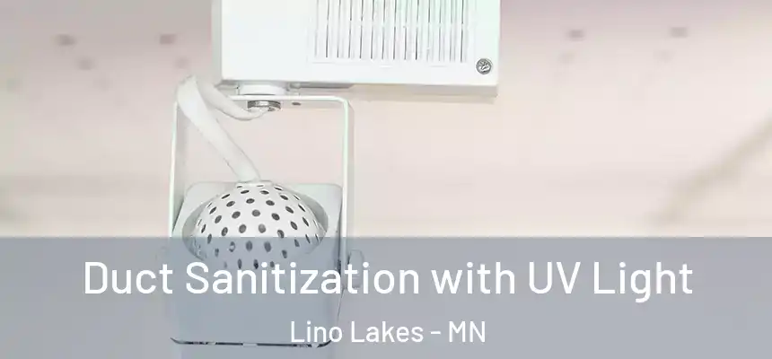  Duct Sanitization with UV Light Lino Lakes - MN