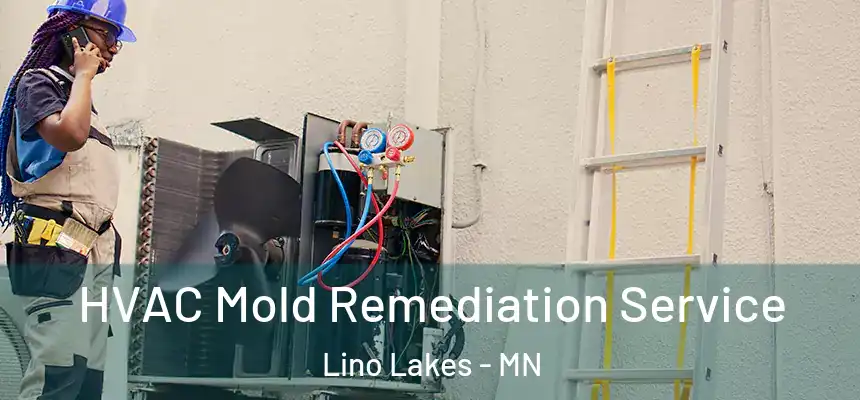  HVAC Mold Remediation Service Lino Lakes - MN