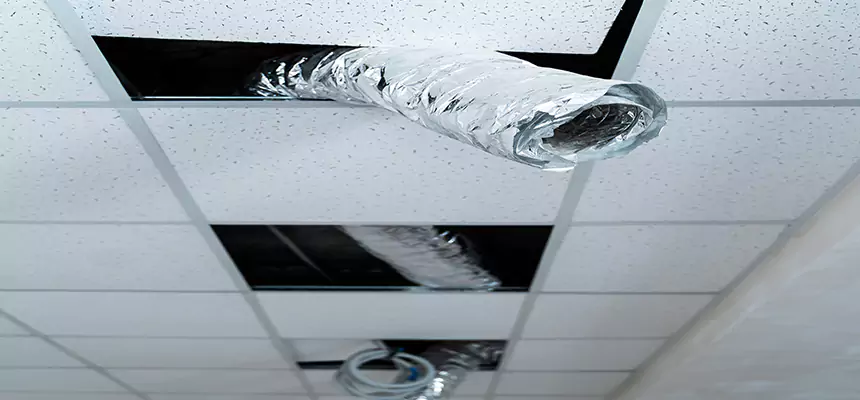 Our Air Duct Pet Hair Removal Services in Lino Lakes, MN