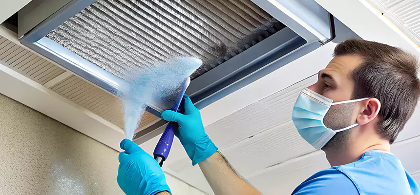 Proactive Dryer Vent & Auxiliary Duct Pollen Cleanup in Lino Lakes, MN