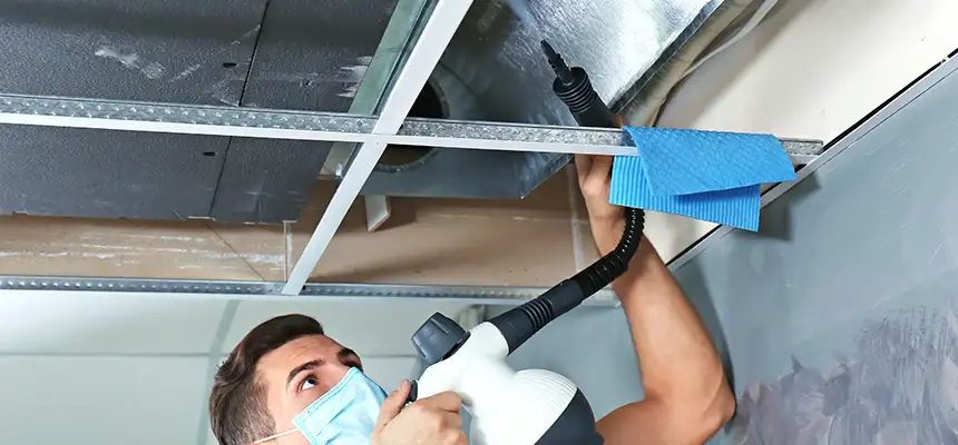 Our Air Duct Rodent Removal Services in Lino Lakes, MN