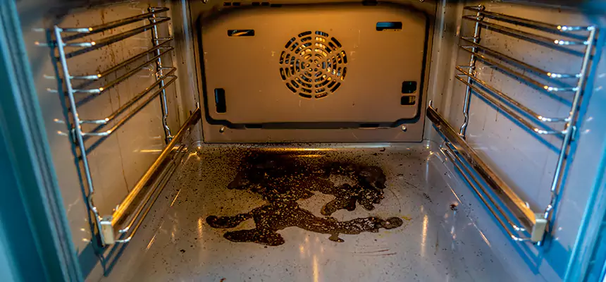 Our Dryer Vent Mold Cleaning Services in Lino Lakes, MN