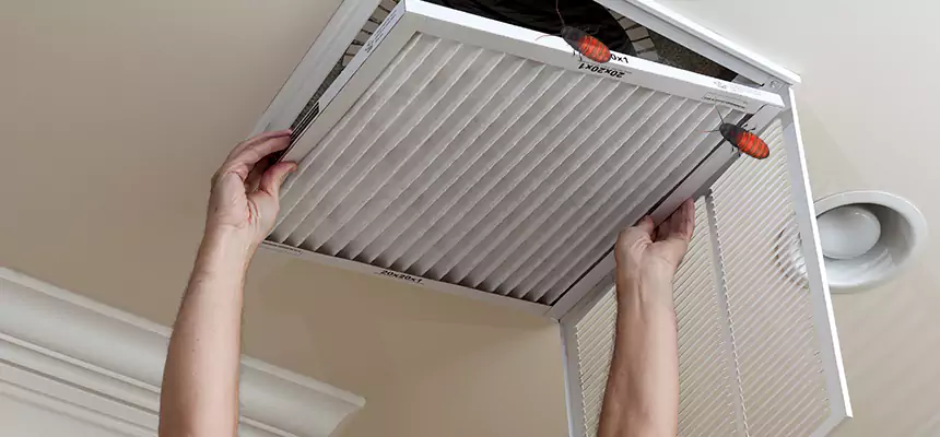 Our Insect Removal from Air Ducts Services in Lino Lakes, MN
