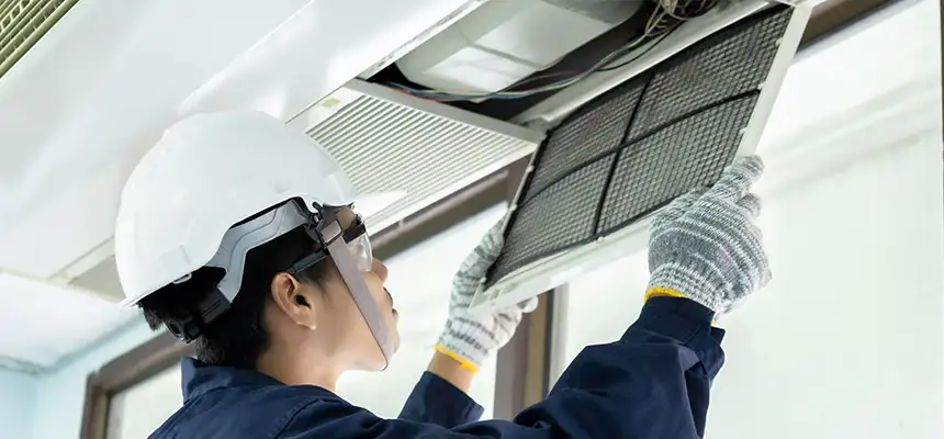 Our Lint Trap Cleaning Service Services in Lino Lakes, MN