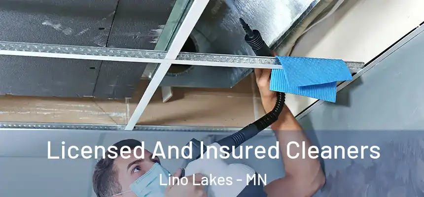  Licensed And Insured Cleaners Lino Lakes - MN
