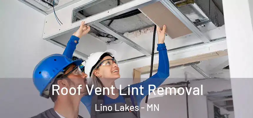  Roof Vent Lint Removal Lino Lakes - MN