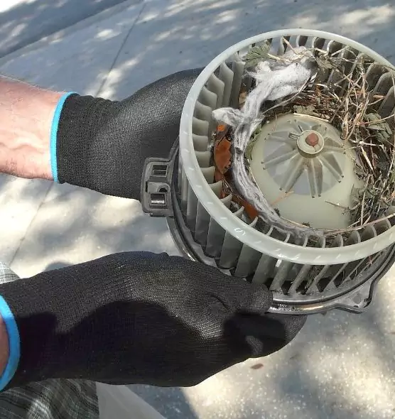 About Air Duct Mice Removal in Lino Lakes, MN