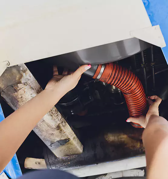 About Air Duct Virus Disinfection in Lino Lakes, MN