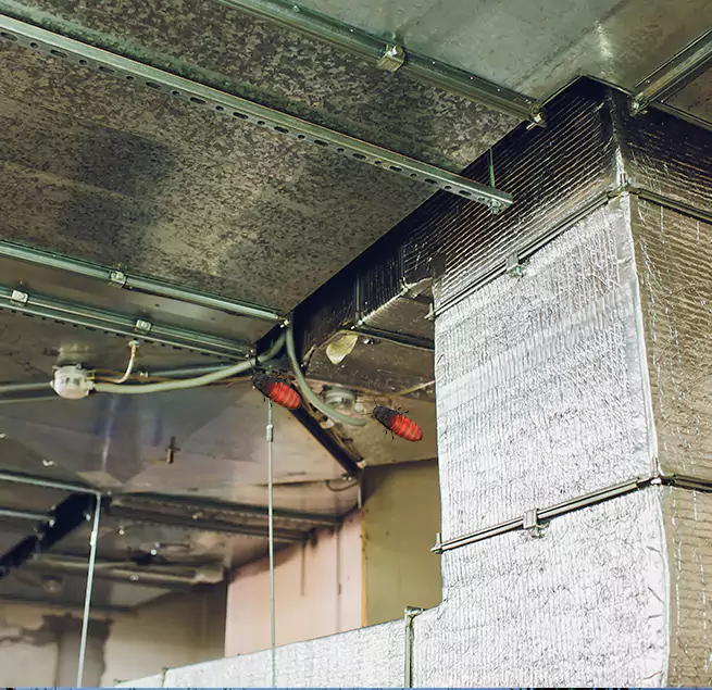 Why Homeowners & Businesses Trust Us in Lino Lakes, MN?