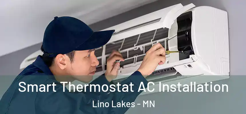  Smart Thermostat AC Installation Lino Lakes - MN