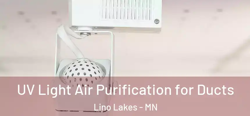  UV Light Air Purification for Ducts Lino Lakes - MN